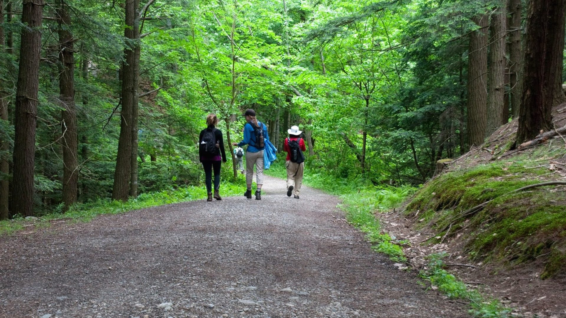 New Life Hiking Spa Killington Vermont Spas Of America